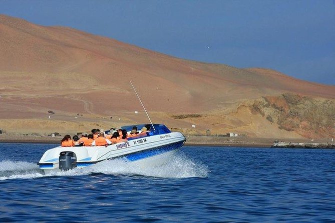 Full Day Paracas - Meeting and Pickup