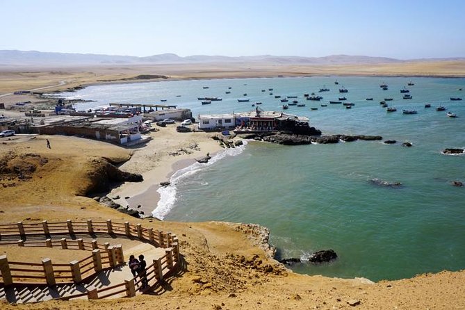 Full Day Paracas - Ballestas Islands Excursion
