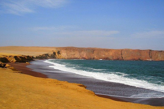 Full Day Paracas - Paracas National Reserve Tour