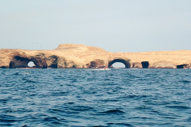 Full Day Paracas - Travelers Review