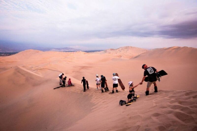 Full Day Paracas Ica and Huacachina From Lima All Included - Customer Reviews