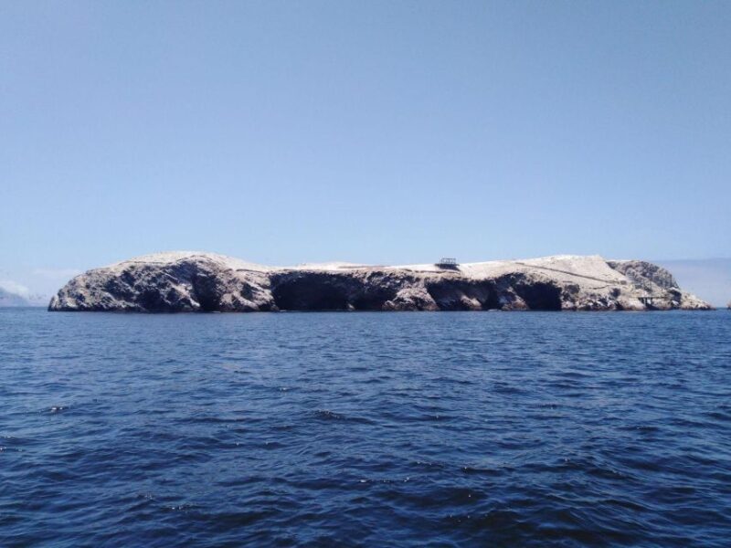 Full Day Paracas - Ica From Lima - Key Points