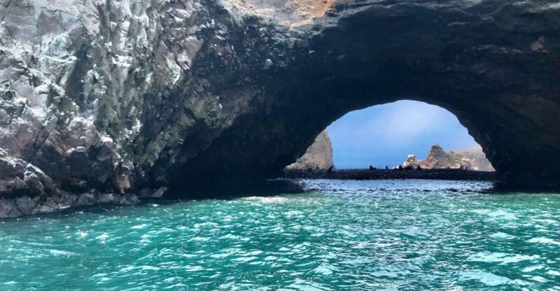 Full Day Paracas - Ica From Lima - Itinerary and Activities