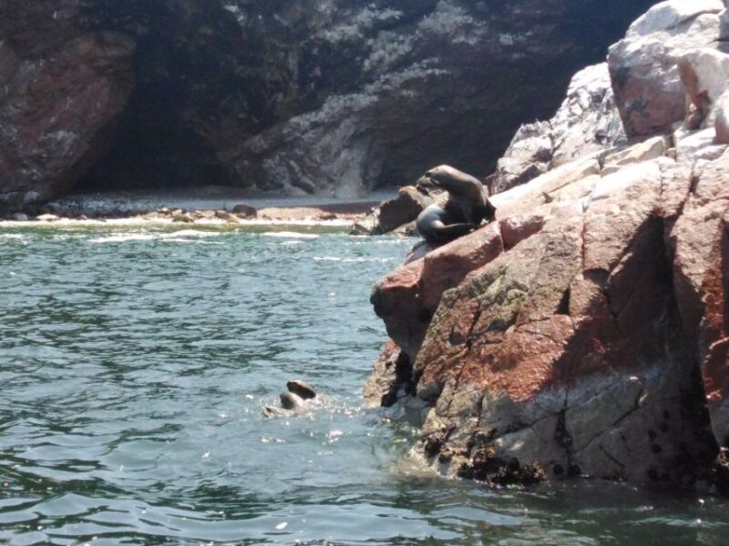 Full Day Paracas - Ica From Lima - Transportation Details