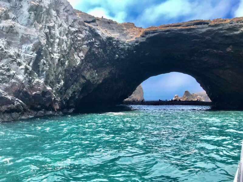 Full Day Paracas - Ica From Lima - Customer Reviews and Ratings