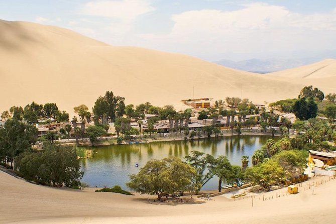 Full Day Paracas - Ica - Oasis Huacachina - Highlights