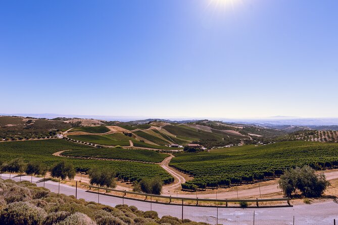 Full-Day Paso Robles Winery Tour With Picnic - Pickup and Meeting Point