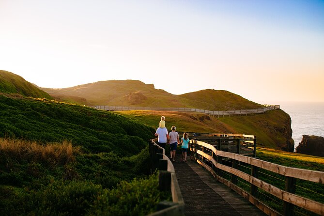 Full-Day Penguins and Wildlife Nature Experience From Melbourne - Attractions Visited