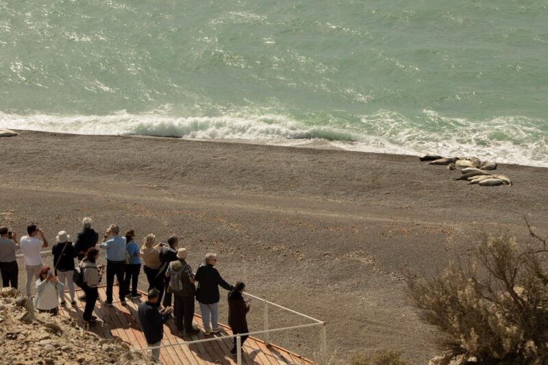 Full Day Peninsula Valdes Experience - Key Points
