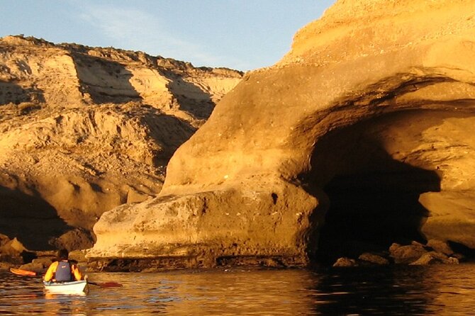 Full Day Peninsula Valdes - Optional Whales Watching Navigation - Pickup and Logistics