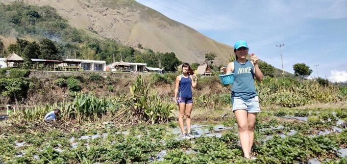 Full Day Pergasingan Hill - Accessibility and Restrictions