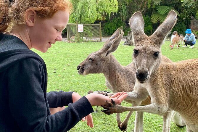 Full-Day Perth, Fremantle, Swan Valley & Wildlife Park - FAQ