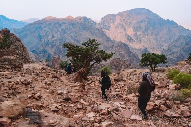 Full Day Petra & Wadi Rum 01 Hour Stop in Dead Sea From Amman - Reviews and Ratings