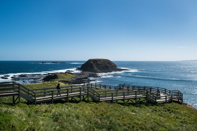 Full-Day Phillip Island Tour With Kangaroo, Koala and Penguin Parade - Wildlife Experiences