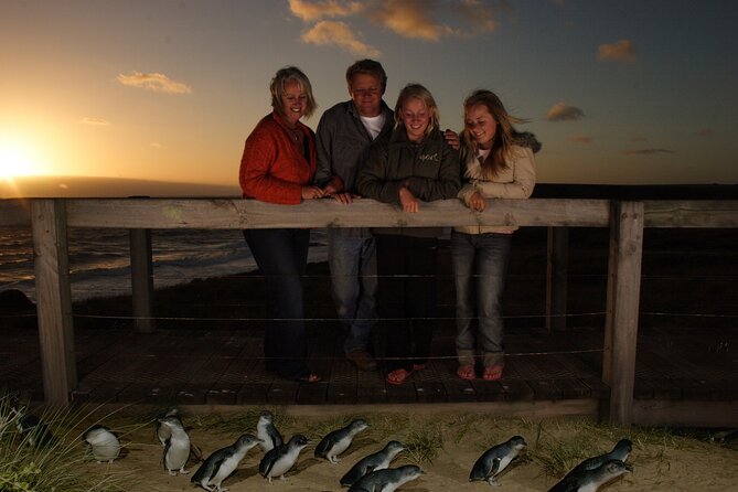 Full-Day Phillip Island Tour With Kangaroo, Koala and Penguin Parade - Moonlit Sanctuary Interactions
