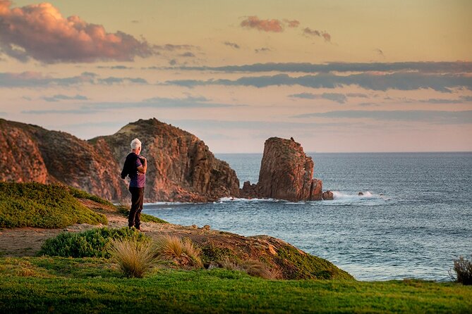 Full-Day Phillip Island Tour With Kangaroo, Koala and Penguin Parade - Penguin Parade Viewing