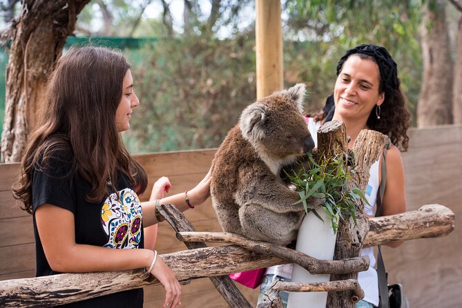 Full-Day Phillip Island Tour With Kangaroo, Koala and Penguin Parade - Visitor Tips
