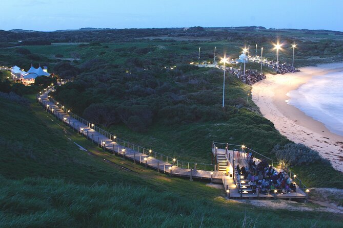 Full-Day Phillip Island Tour With Kangaroo, Koala and Penguin Parade - Tour Feedback and Recommendations
