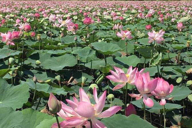 Full Day Phnom Penh City Tour - Feedback and Recommendations