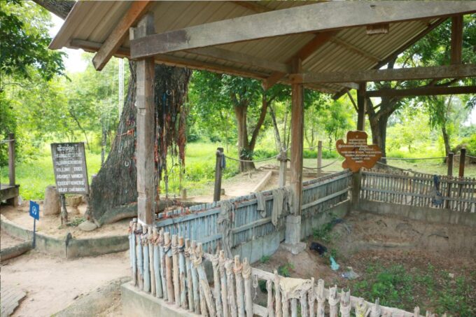Full Day Phnom Penh City Tour With Private Vehicle and Guide - Tour Highlights