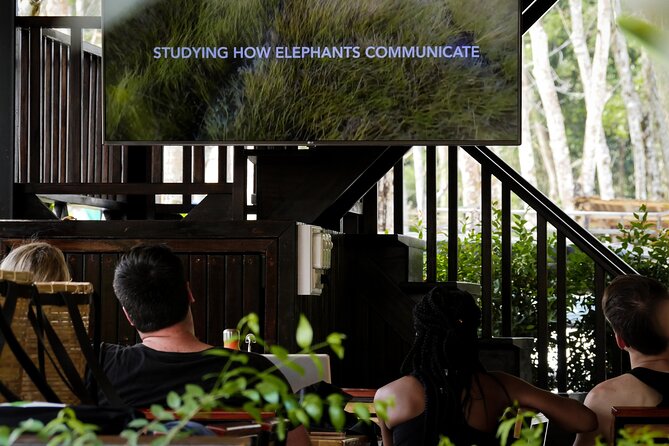 Full-Day Phuket Elephant Sanctuary Tour With Lunch and Dinner - Inclusions