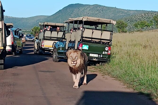 Full Day Pilanesberg Safari Adventure - Safari Details