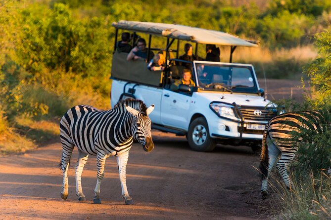Full Day Pilanesberg Safari Adventure - Pickup and Meeting Points