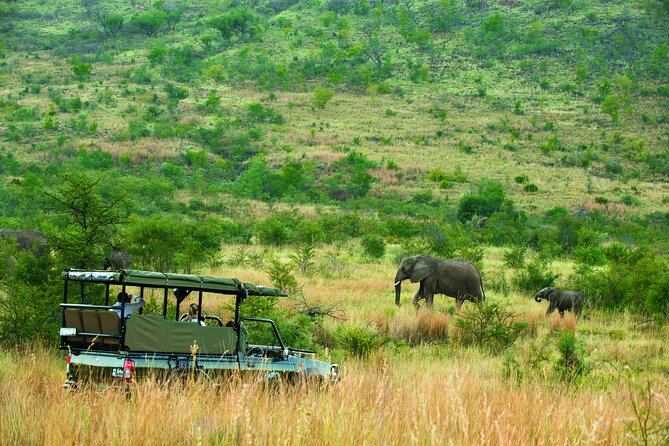 Full Day Pilanesberg Safari Adventure - Accessibility and Participation