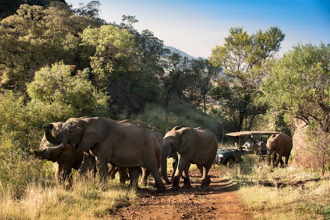 Full Day Pilanesberg Safari Adventure - Wildlife Sightings