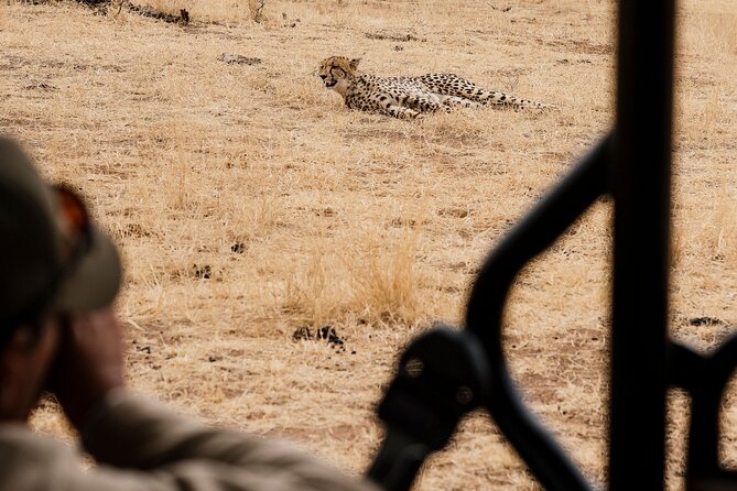 Full Day Pilanesberg Safari Adventure - Visitor Testimonials