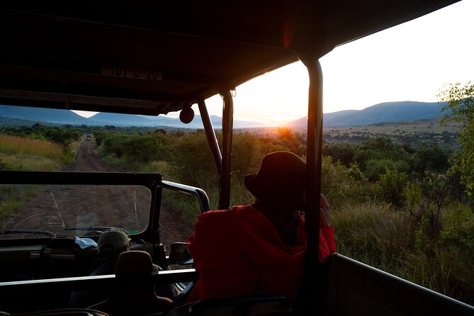 Full Day Pilanesberg Safari Adventure - Insider Tips