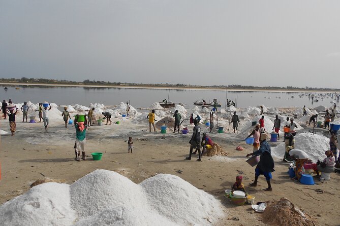 Full-Day PINK LAKE and FISHING VILLAGE Combination - Destination Highlights