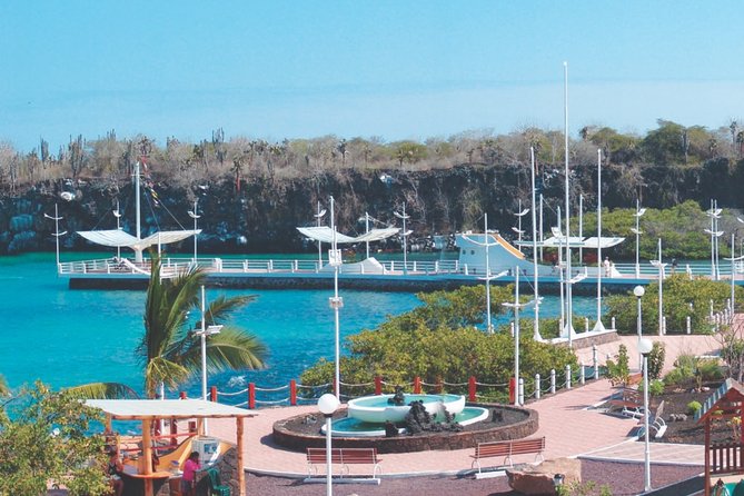 Full-Day Pinzon Island Snorkeling and Fishing - Key Points