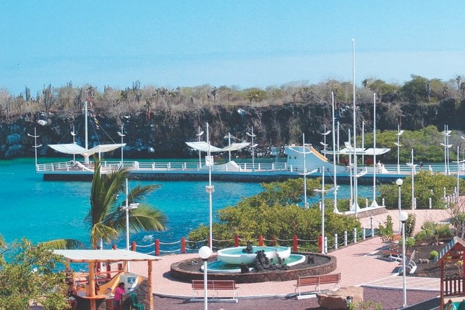 Full-Day Pinzon Island Snorkeling and Fishing - Recap