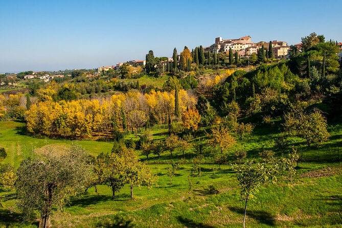 Full-Day Pisa Private Guided Tour With Visit to Local Wine Farm - Accessibility and Participation