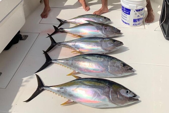 Full Day Playa Flamingo Private Fishing Trip - Meeting Point and Pickup Details