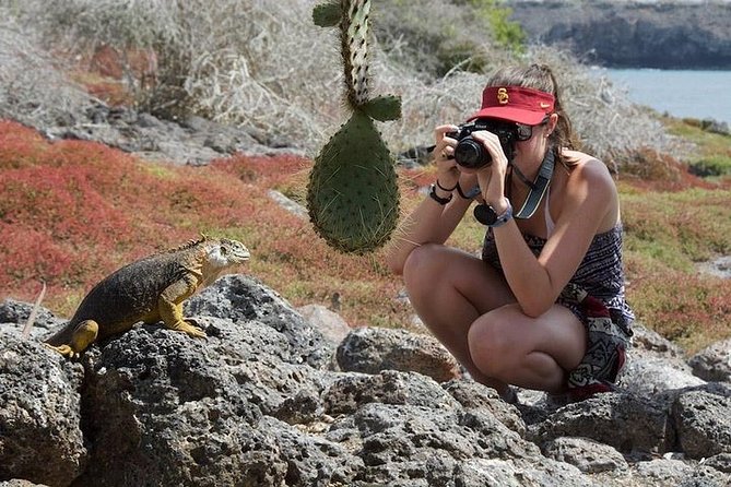 Full Day Plazas & Carrion Point - Highlights of Plazas Island