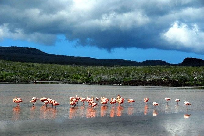 Full Day Plazas & Carrion Point - Snorkeling Opportunities