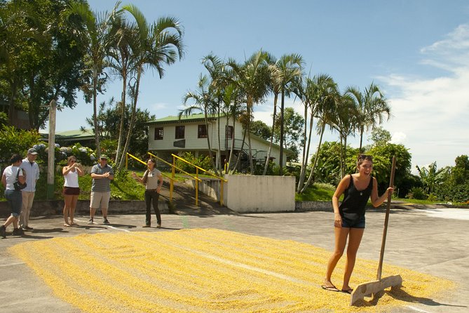 Full Day Poas Volcano, Coffee Tour and La Paz Waterfalls From San Jose - Inclusions and Pickup