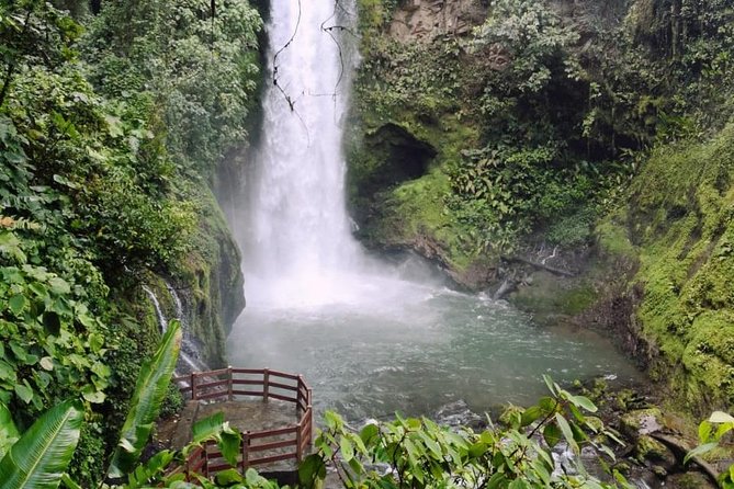 Full Day Poas Volcano, Coffee Tour and La Paz Waterfalls From San Jose - Guest Reviews