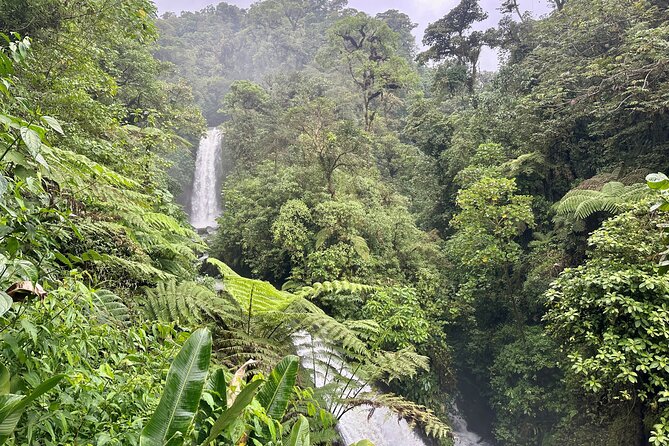 Full Day Poas Volcano, La Paz Waterfall Gardens and Coffee Plantation Experience - Meeting and Pickup Details