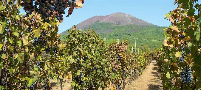 Full-Day Pompeii - Vesuvius - Winery Lunch Experience Private Tour - Pricing and Inclusions