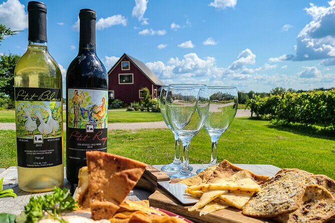 Full Day Pontiac Wine & Cider Tour - Day Trip From Ottawa & Gatineau - Key Points
