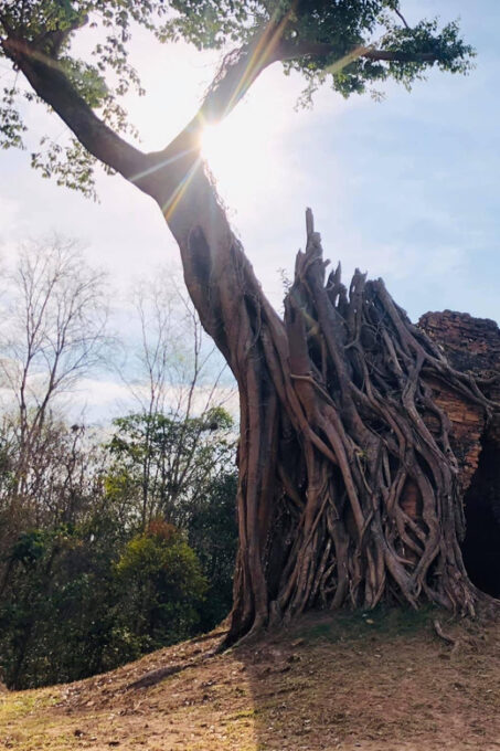 Full-Day Preah Vihear & Sambor Prei Kuk Private Tour - Lunch in Preah Vihear City