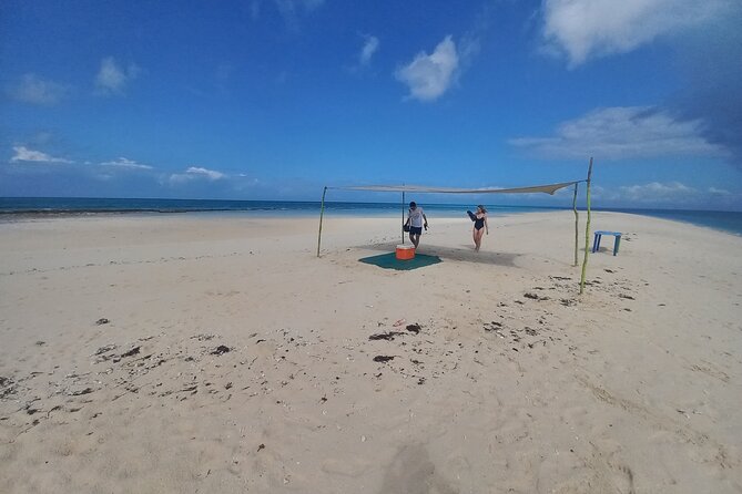 Full-Day Prison Island and Nakupenda Sandbank With Lunch Buffet - Indulge in Seafood Lunch Buffet