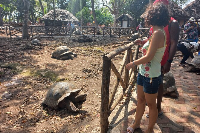 Full-Day Prison Island, Nakupenda and Stone Town Tour With Lunch Buffet - Cancellation Policy
