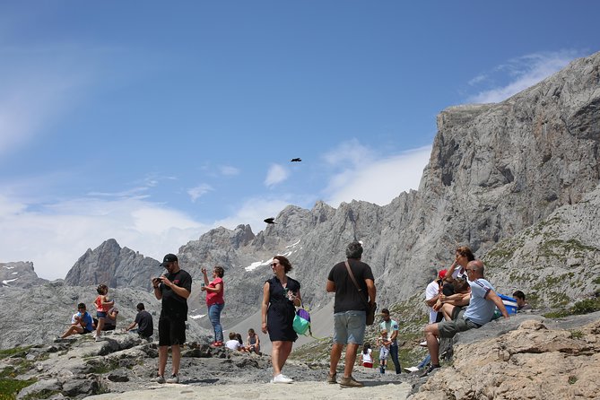 Full Day Private 4WD Tour From Bilbao to Picos De Europa. Fine Meals. - Testimonials and Reviews