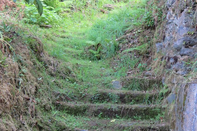 Full Day Private 4x4 Adventure in Madeira - Testimonials and Reviews