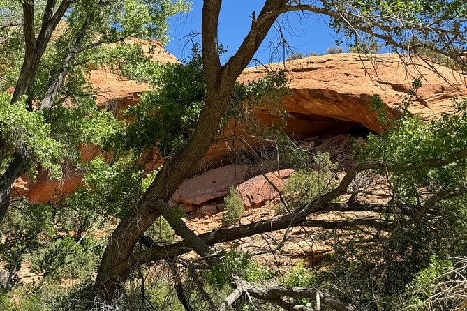 Full Day Private 4x4 Guided Jeep Experience in Moab - Frequently Asked Questions