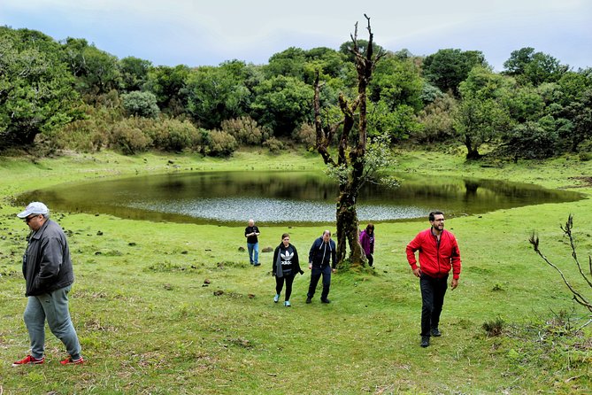 Full Day Private 4x4 Tour in West Madeira With Local Guide - Traveler Reviews